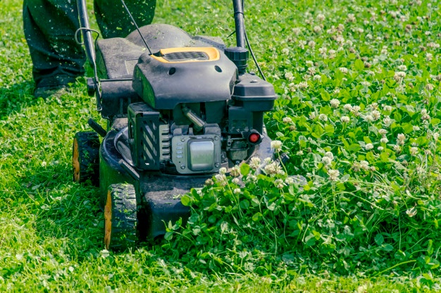Hitrost košnje zelenic